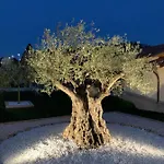 Alciliegio Bed & Breakfast