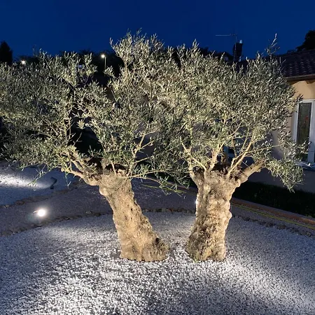 Bed & Breakfast Alciliegio